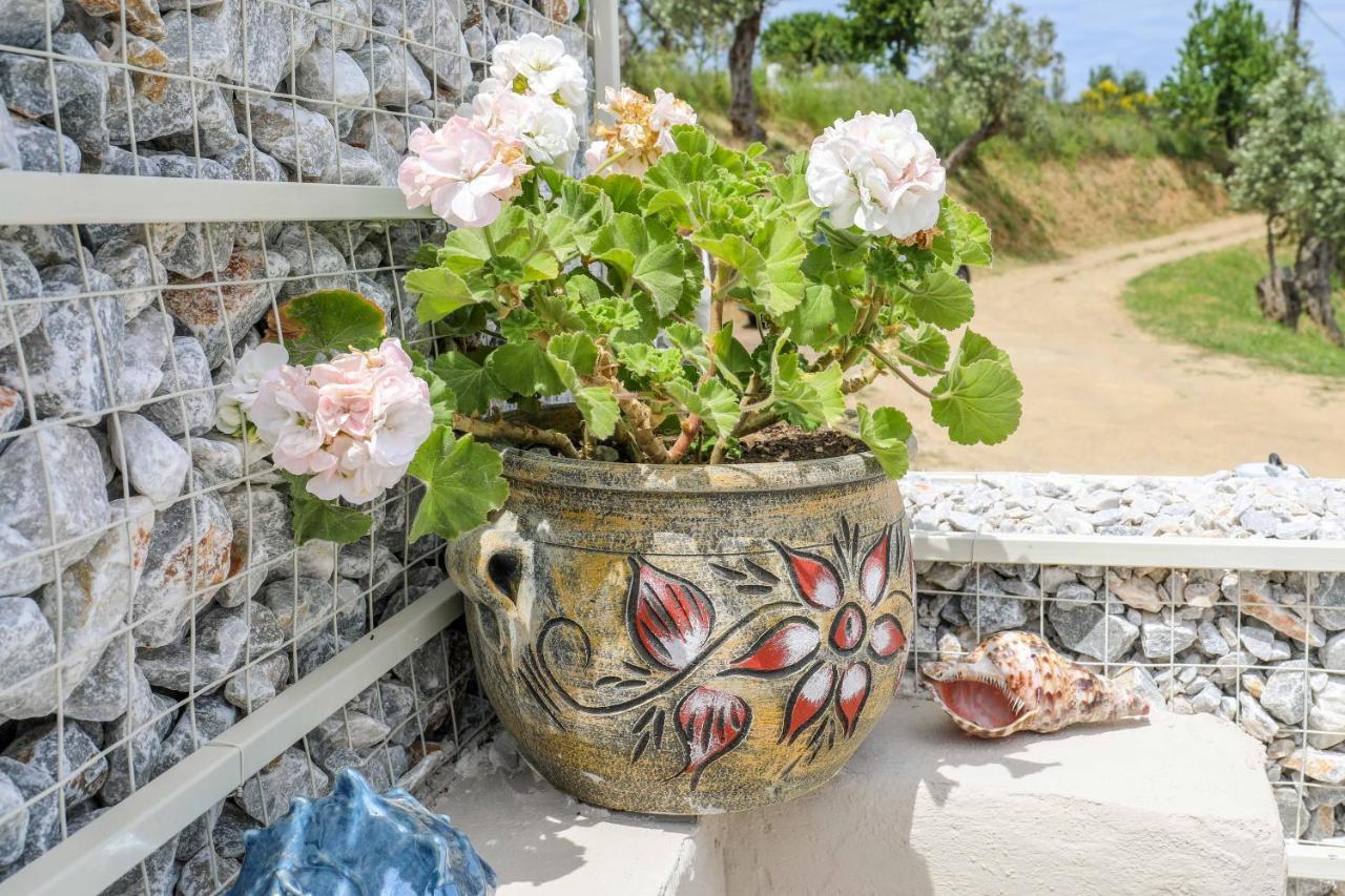Casa Rozana - Skiathos Dış mekan fotoğraf