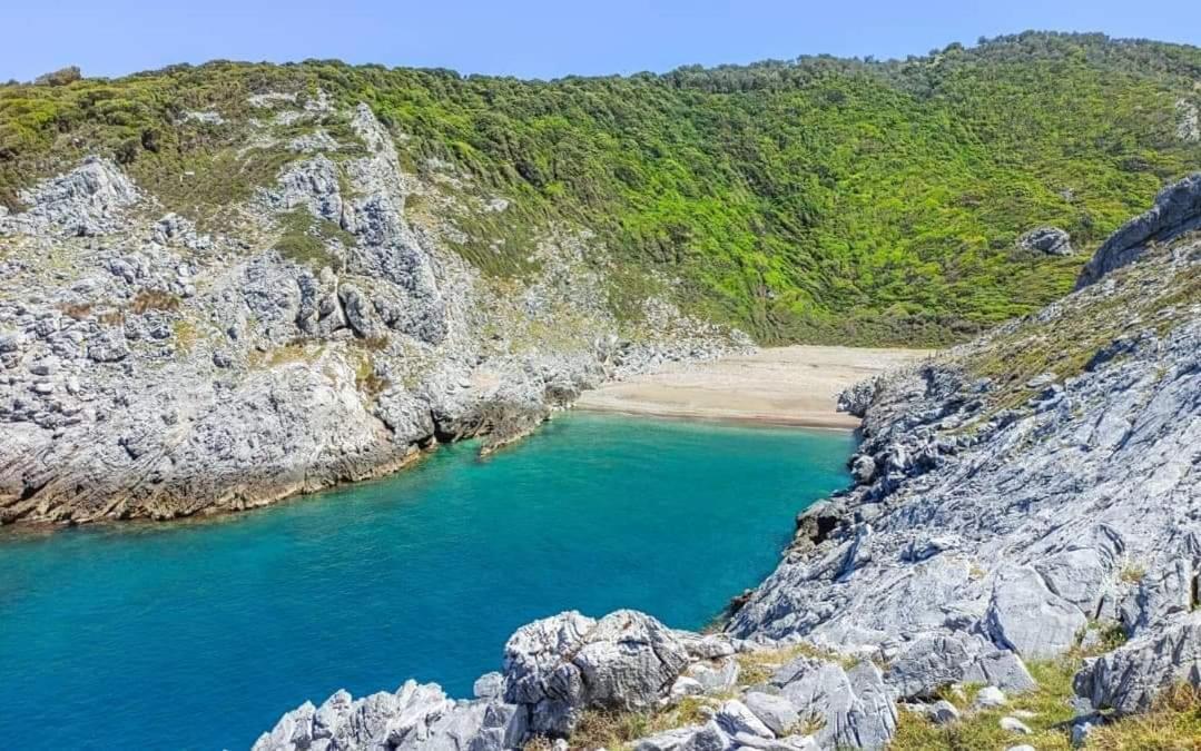 Casa Rozana - Skiathos Dış mekan fotoğraf